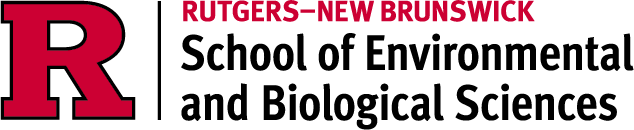 SEBS logo
